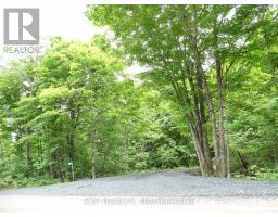 1881 Elm Tree Road, Frontenac, ON K0H1B0 Photo 20