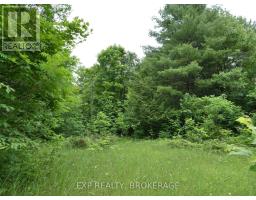 1881 Elm Tree Road, Frontenac, ON K0H1B0 Photo 21