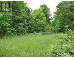1881 Elm Tree Road, Frontenac, ON K0H1B0 Photo 24
