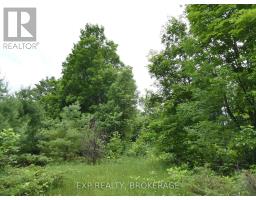 1881 Elm Tree Road, Frontenac, ON K0H1B0 Photo 25