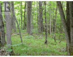 1881 Elm Tree Road, Frontenac, ON K0H1B0 Photo 30