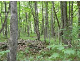 1881 Elm Tree Road, Frontenac, ON K0H1B0 Photo 29