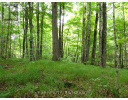1881 Elm Tree Road, Frontenac, ON K0H1B0 Photo 32