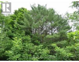 1881 Elm Tree Road, Frontenac, ON K0H1B0 Photo 33