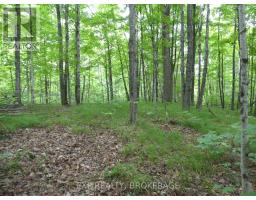 1881 Elm Tree Road, Frontenac, ON K0H1B0 Photo 31