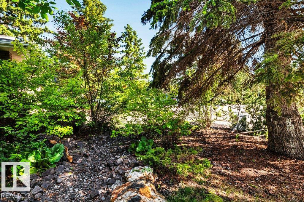 11742 29 AV NW - photo 4