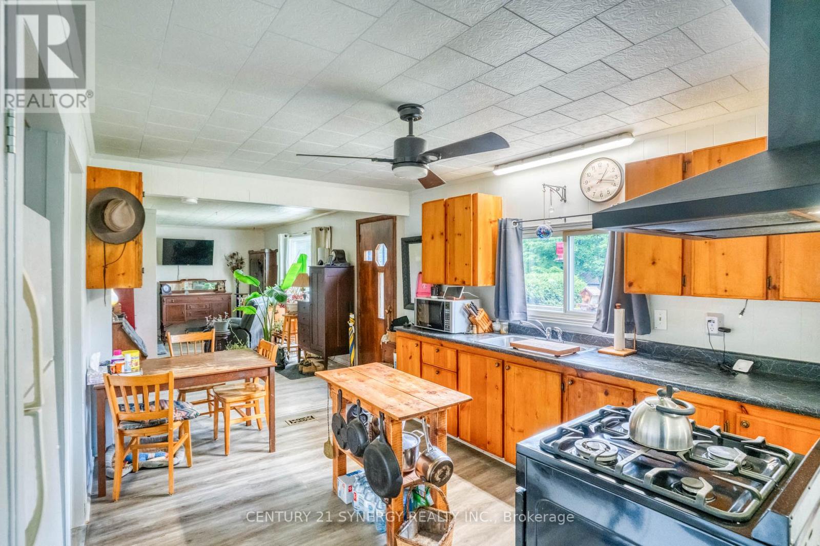 1174 CON 3 DALHOUSIE, RR#3 CONCESSION - 11
