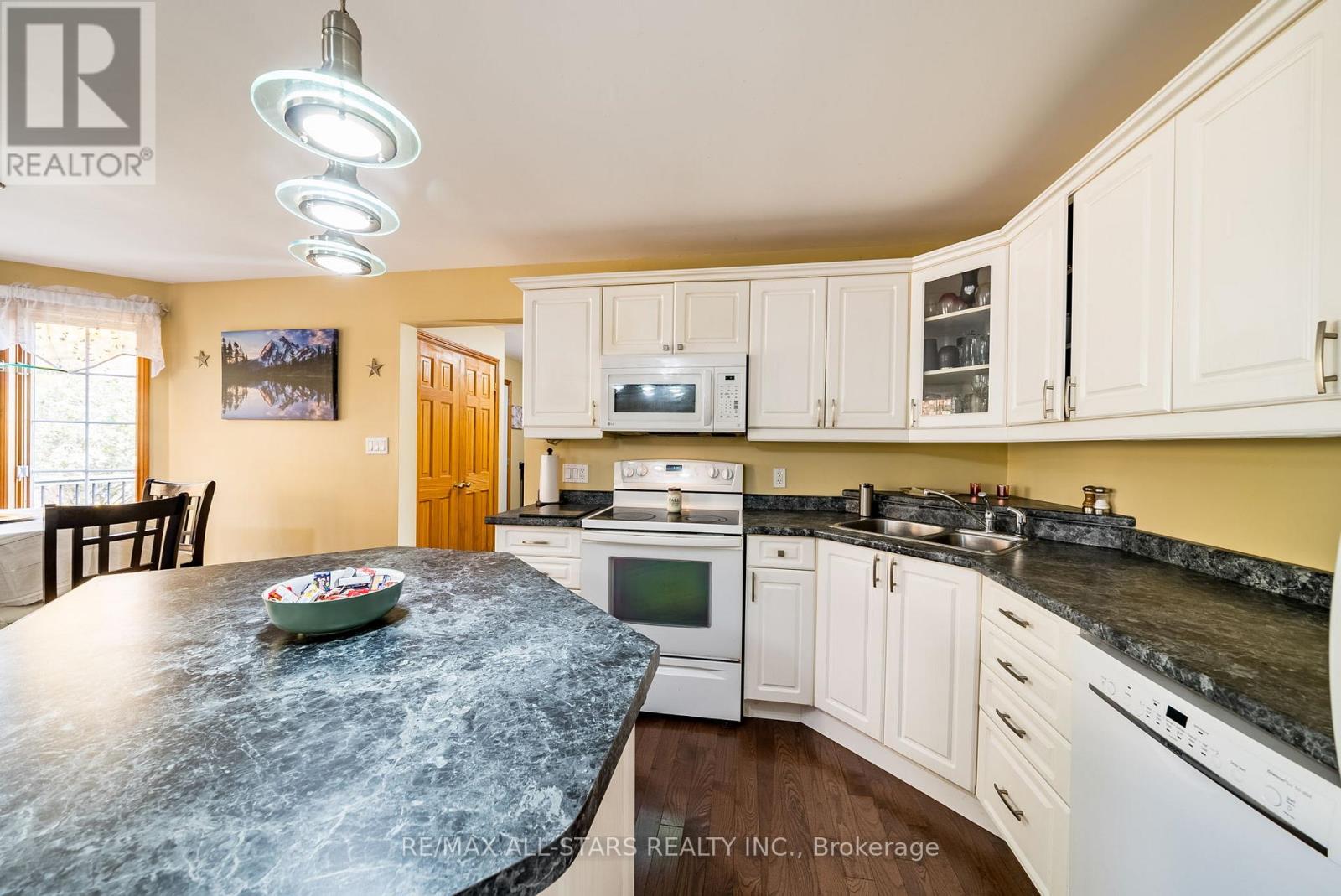 100 SNOW RIDGE COURT - 30