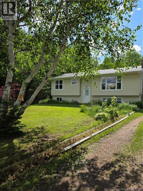 40 Michael Avenue - 2