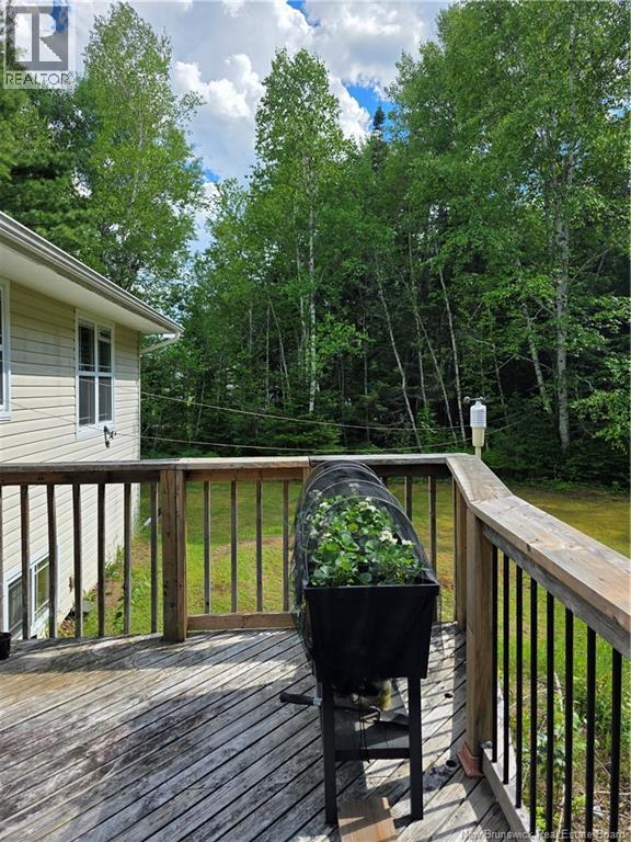 40 Michael Avenue - 3