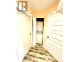 (lower) - 1236 Medway Park Drive, London North, ON N6G0V6 Photo 10