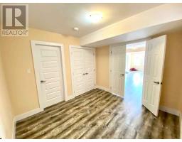 (lower) - 1236 Medway Park Drive, London North, ON N6G0V6 Photo 6