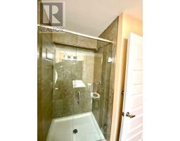 (lower) - 1236 Medway Park Drive, London North, ON N6G0V6 Photo 9