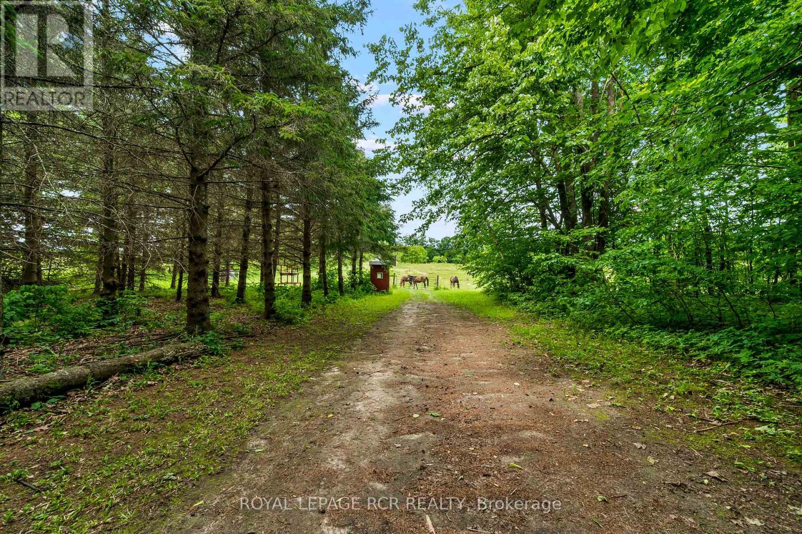 426079 25 SIDE ROAD - 42