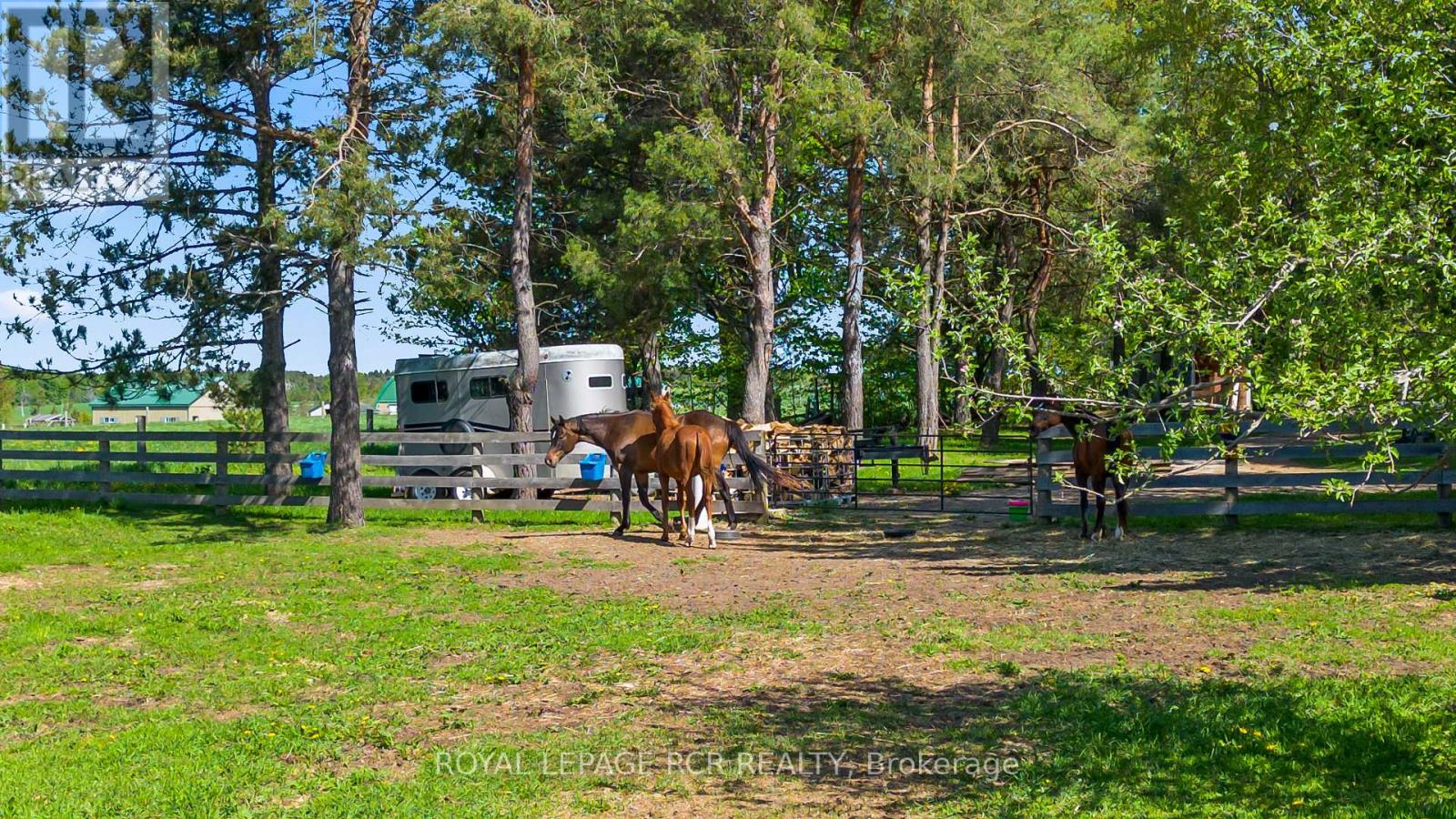 426079 25 SIDE ROAD - 36