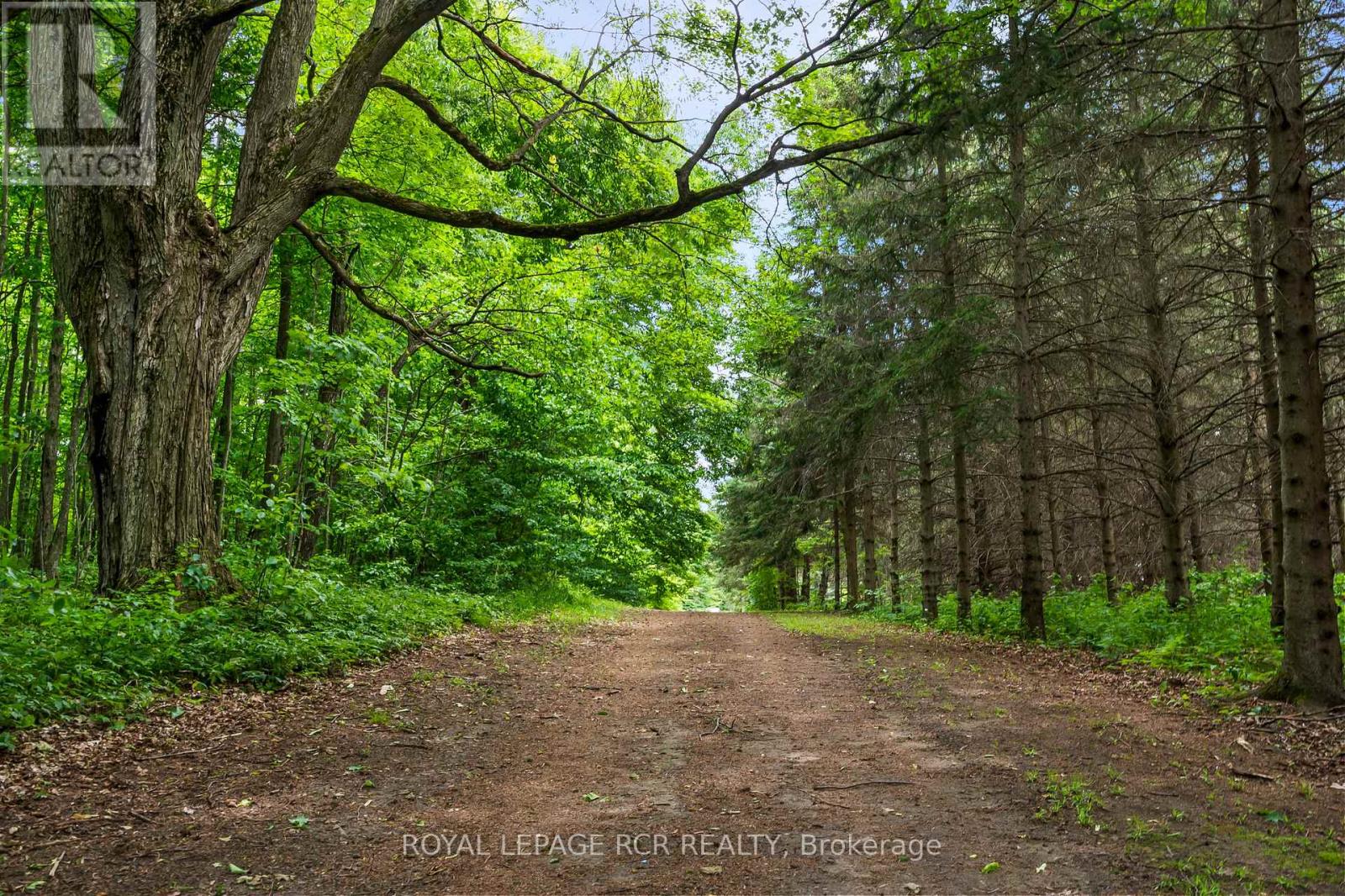 426079 25 SIDE ROAD - 44