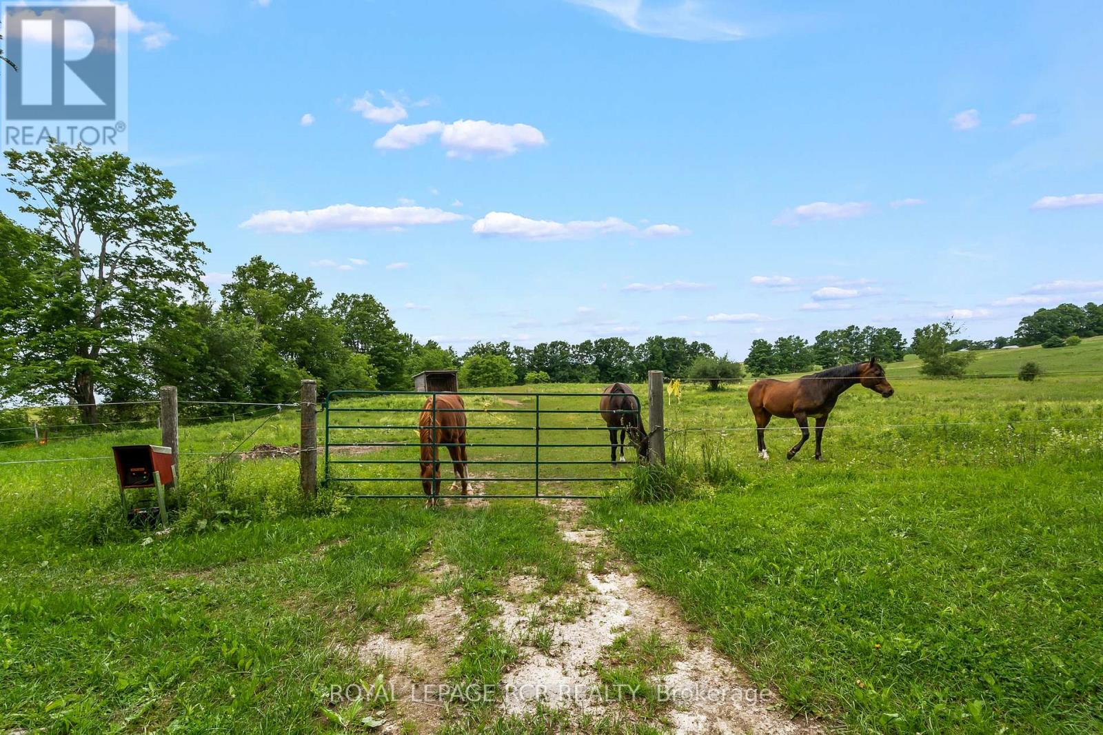 426079 25 SIDE ROAD - 45