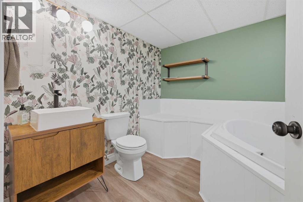 Lower level bathroom