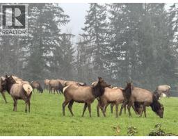 4370 Moss Rd, Duncan, BC V9L6M4 Photo 55