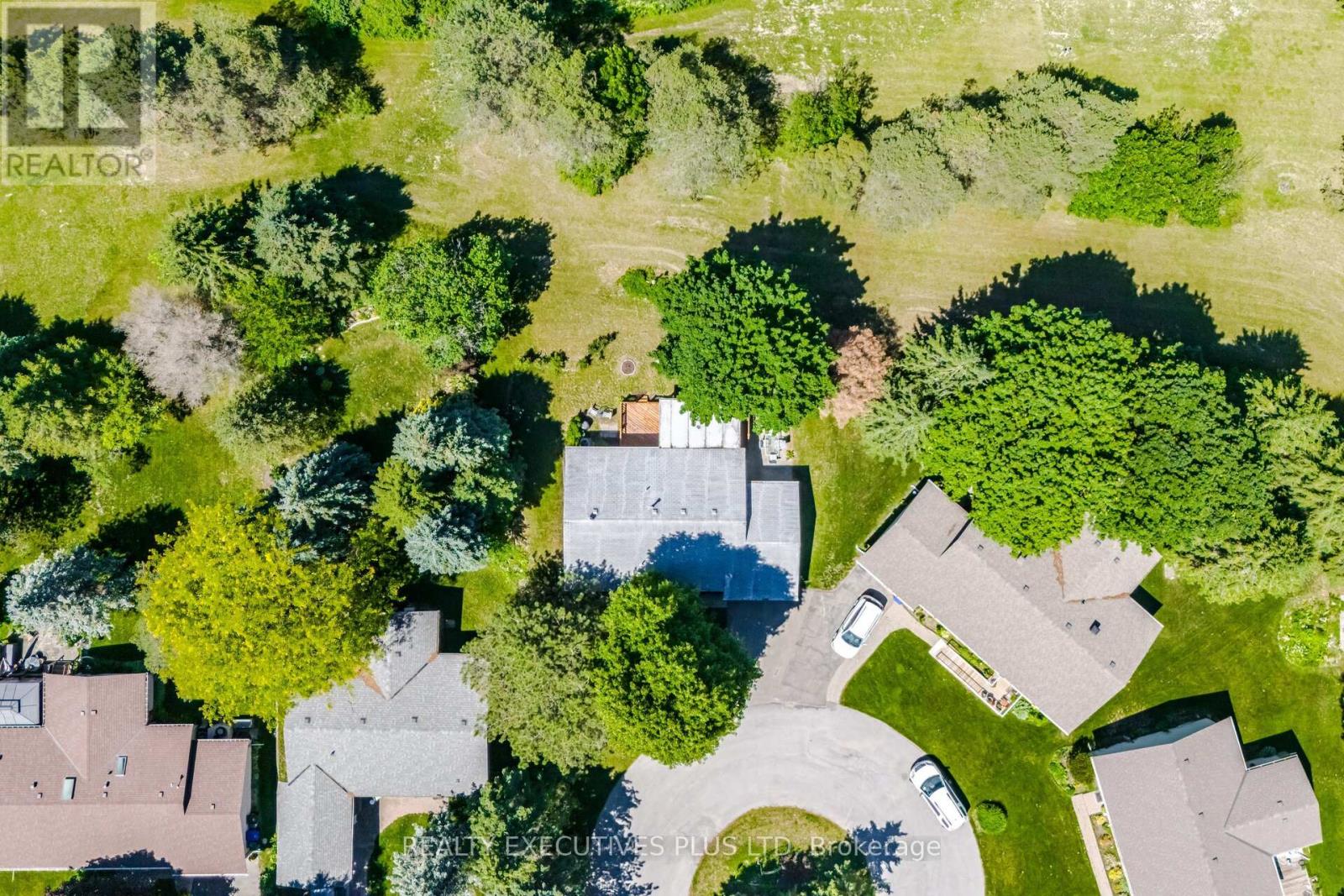 14 BUTTERNUT COURT - 6