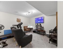 17 Amesbury Wd, Sherwood Park, AB T8B0B5 Photo 44