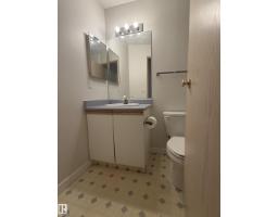 #213 17467 98a Av Nw, Edmonton, AB T5T6E9 Photo 17
