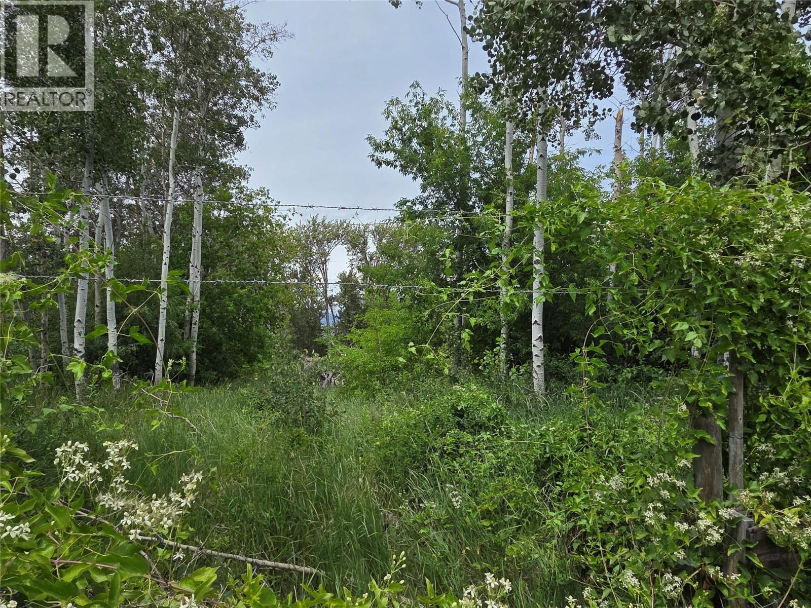 311 Coulthard Road - 65