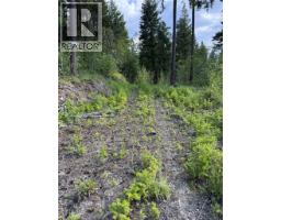 Hepburn Road Lot# 1, Chase, BC V0E1M1 Photo 15