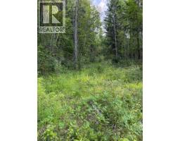 Hepburn Road Lot# 1, Chase, BC V0E1M1 Photo 17