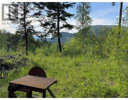 Hepburn Road Lot# 1, Chase, BC V0E1M1 Photo 18