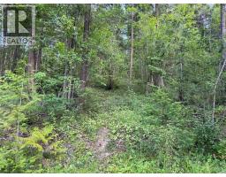 Hepburn Road Lot# 1, Chase, BC V0E1M1 Photo 19