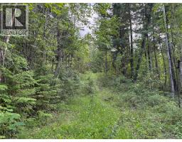 Hepburn Road Lot# 1, Chase, BC V0E1M1 Photo 20