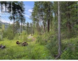 Hepburn Road Lot# 1, Chase, BC V0E1M1 Photo 21