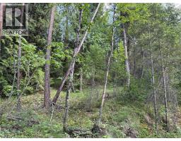 Hepburn Road Lot# 1, Chase, BC V0E1M1 Photo 23