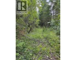 Hepburn Road Lot# 1, Chase, BC V0E1M1 Photo 24