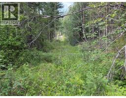 Hepburn Road Lot# 1, Chase, BC V0E1M1 Photo 25