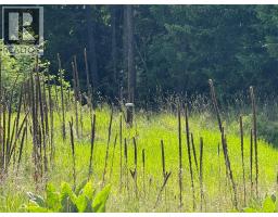 Hepburn Road Lot# 1, Chase, BC V0E1M1 Photo 8