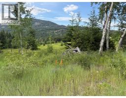 Hepburn Road Lot# 1, Chase, BC V0E1M1 Photo 81