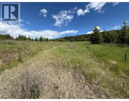 Hepburn Road Lot# 1, Chase, BC V0E1M1 Photo 9