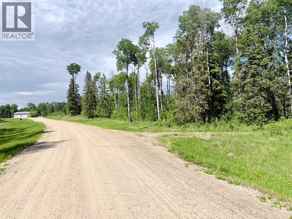 Block 2 Lot 5 Elk Ridge Estates - photo 4