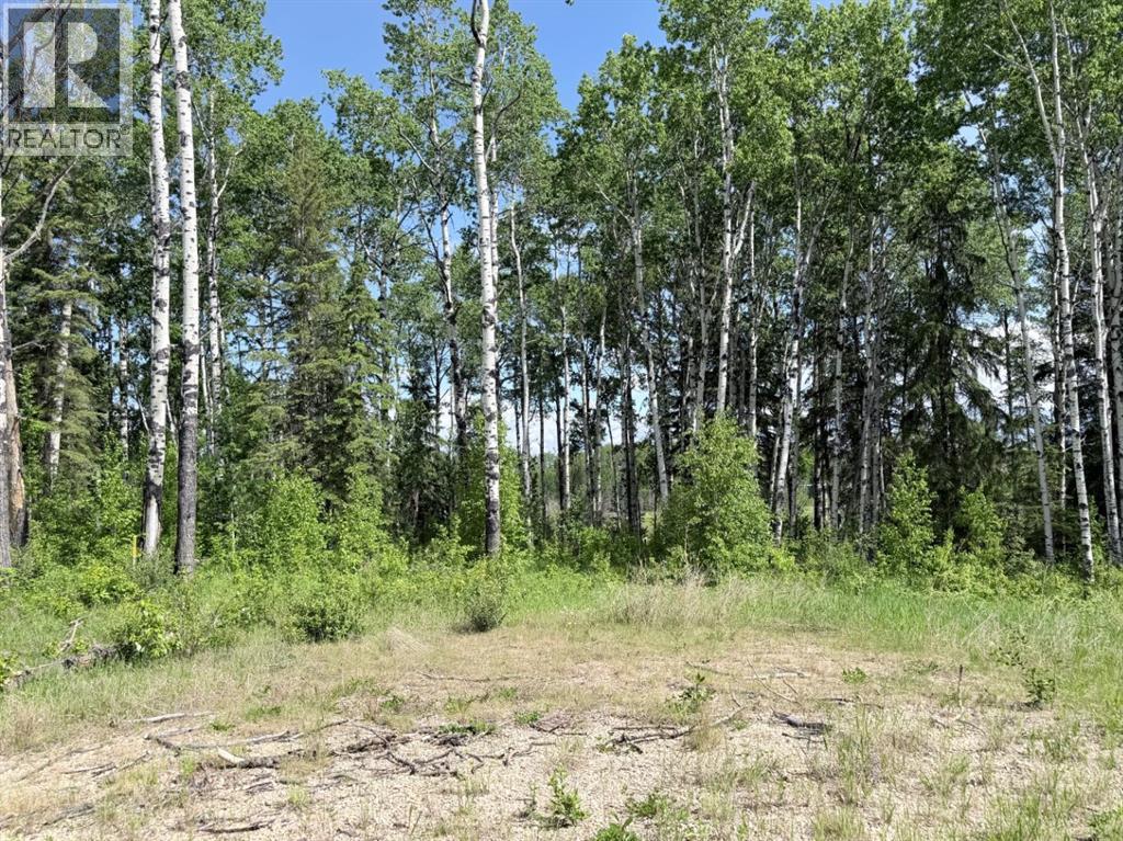 Block 2 Lot 7 Elk Ridge Estates - photo 3