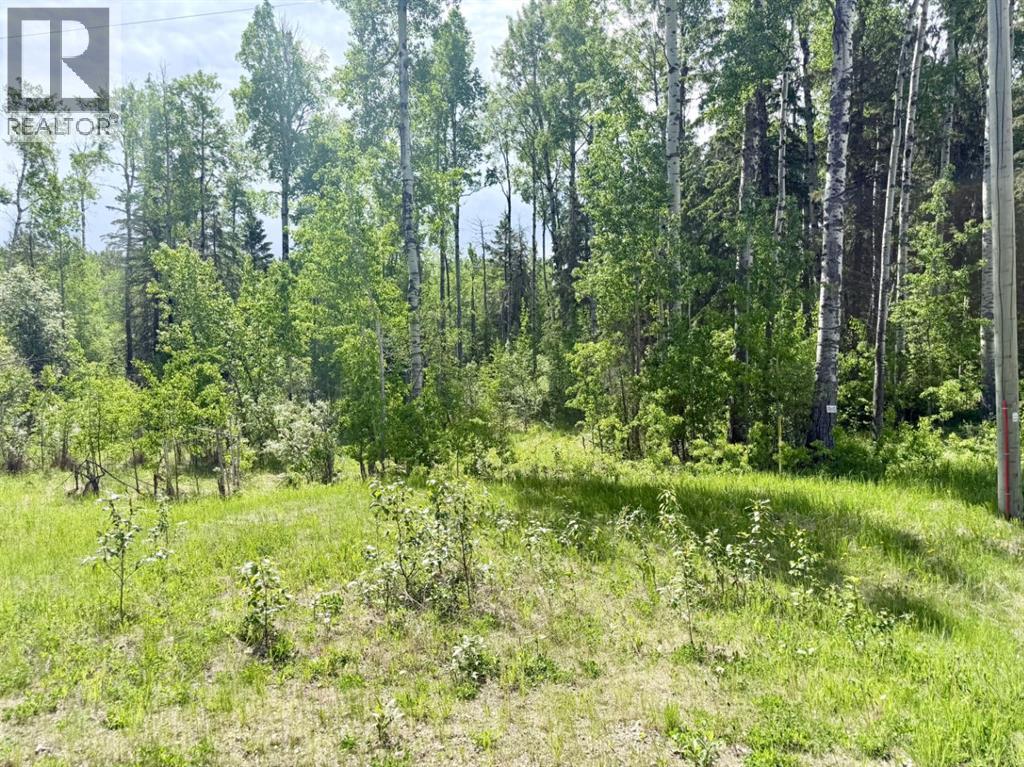 Block 2 Lot 8 Elk Ridge Estates - photo 2