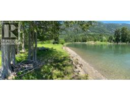 00 Slocan Valley West Road, Slocan Park, BC V0G2E0 Photo 9