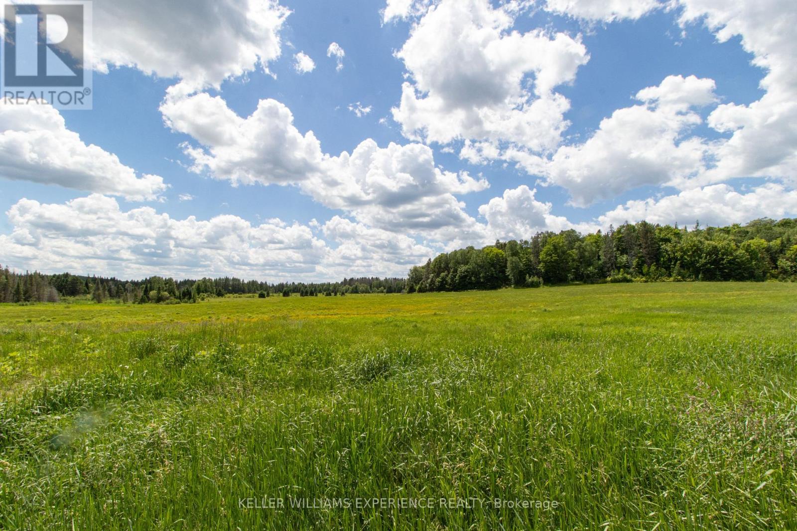 3505 BOUNDARY ROAD - 49