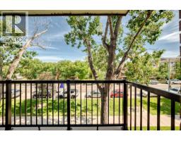 303, 1829 11 Avenue Sw, Calgary, AB T3C0N2 Photo 17