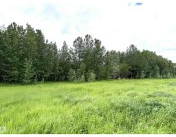 20126l Twp Rd 502, Rural Beaver County, AB T0B4J2 Photo 8