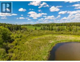 Dl 2969a Buffalo Creek Road, 100 Mile House, BC V1K1G0 Photo 23