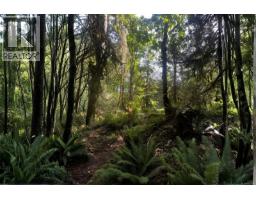 2566 Steve Ellis Rd, Nanaimo, BC V9R0J7 Photo 21