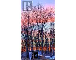 Cold room - 21481 Butternut Lane, South Glengarry, ON K0C1Z0 Photo 6