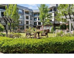 112 8880 202 Street, Langley, BC V1M4E7 Photo 22